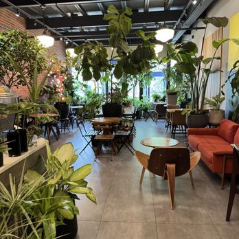 Kunst Coffee Haus - Coffee & Tea Near Me - Bayside, New York