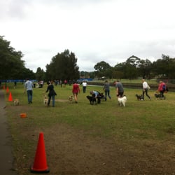 Harberfield Dog Park
