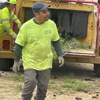 Rm Tree & Stump Removal - Tree Services Near Me - Louisville, Kentucky