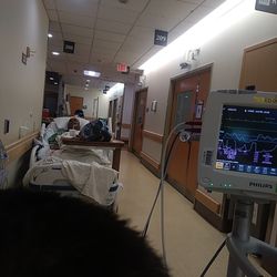 UK Albert B Chandler Emergency Department - Nurses doing nothing 10 16 2025