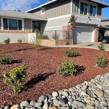 Cruz Landscaping Services - Finished product - Fences & Gates Near Me