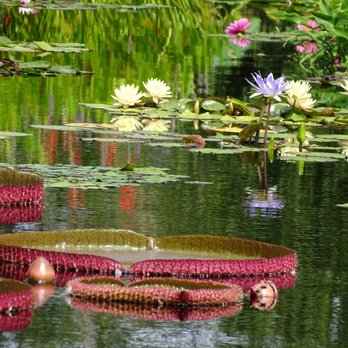 Denver Botanic Gardens - Botanical Gardens Near Me - Denver, Colorado Denver Botanic Gardens - Botanical Gardens Near Me - Denver, Colorado