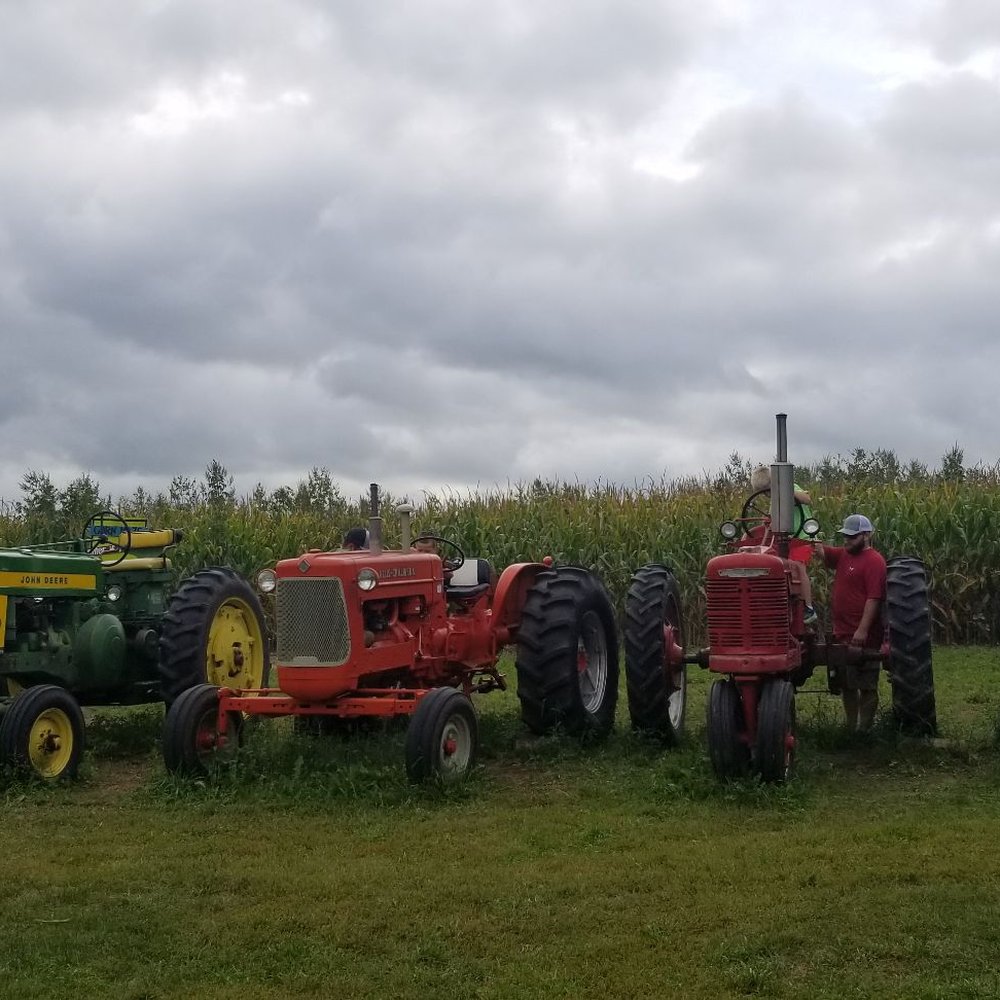 Luceline Orchard - CSA Near Me - Watertown, Minnesota