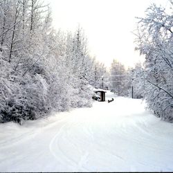 Golden Eagle Saloon - Road down towards the Red Garter Saloon, Dec. 1977.
