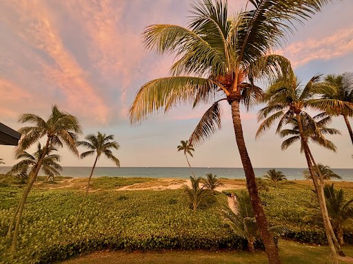 Sea Watch On the Ocean by null