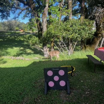 Cloverdale Healdsburg Campground - Dear - Campgrounds Near Me - Cloverdale, California Cloverdale Healdsburg Campground - Dear - Campgrounds Near Me - Cloverdale, California