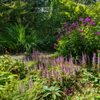 Streissguth Gardens gift card