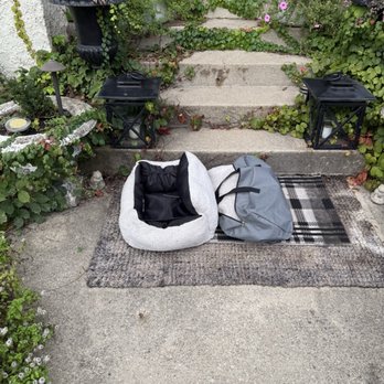 Beverly Dog Boarding - There was a table at the top f the stairs where I originally placed the items - Pet Boarding Near Me - Chicago, Illinois