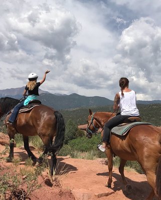 Deerwood Ranch Wild Horse EcoSanctuary by null