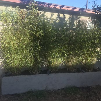 Moon Valley Nurseries - Landscaping Near Me - Torrance, California Moon Valley Nurseries - Landscaping Near Me - Torrance, California