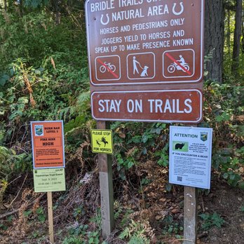 Bridle Trails State Park - Parks Near Me - Kirkland, Washington