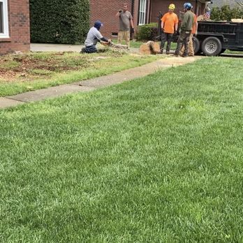 Waxhaw Tree Service - Brandon and his team did an excellent job! - Tree Services Near Me Waxhaw Tree Service - Brandon and his team did an excellent job! - Tree Services Near Me