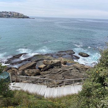 Bondi Icebergs Club - Restaurants Near Me - Bondi, NSW Bondi Icebergs Club - Restaurants Near Me - Bondi, NSW