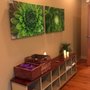 Photo of Healing Arts Yoga at LHAA