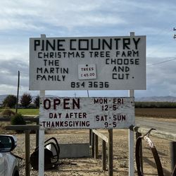 Pine Country Christmas Tree Farm - Pine Country Christmas Tree Farm, Hours and pricing