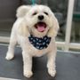 Photo of Fetch Pet Resort
