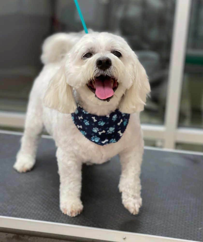 Fetch Pet Resort - pet boarding facility in Humble, TX