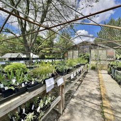user provided Geist Nursery photo
