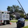 Photo of Andrew Tree Service