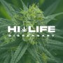 Photo of Hi Life Dispensary