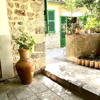 La Tafona de Can Det - La Terraza: (Waiting Before History Tour) - Olive Oil Near Me - Sóller, PM
