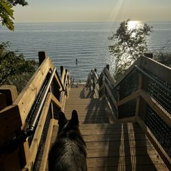 Kirk Park - Steps down to the beach