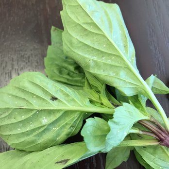 Pho Than Brothers - Poor food prepping! I was served mealy bug-infested vegetables (white bugs on the leaves see photos below). - Vietnamese Near Me - Seattle, Washington