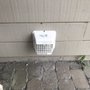 Photo of Dynamic Duct & Dryer Cleaning