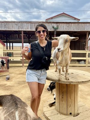 River Street Ranch by null