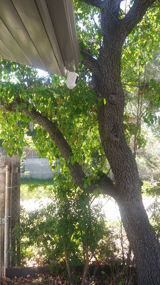 KINGDOM SECURITY Updated August 2024 121 Photos & 11 Reviews 341