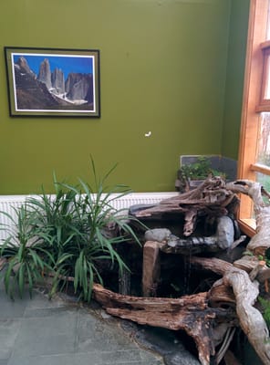 The Singing Lamb Hostel by null