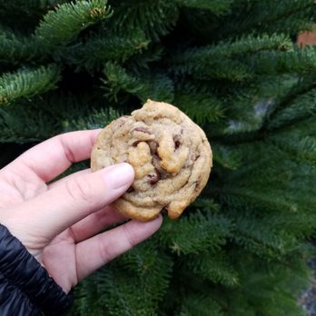 North Star Tree Farm - Semi-sweet chocolate chip cookie - Christmas Trees Near Me - Placerville, California North Star Tree Farm - Semi-sweet chocolate chip cookie - Christmas Trees Near Me - Placerville, California