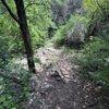 Barton Creek Greenbelt gift card