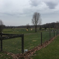 Conneaut Lake Bark Park - So much space!