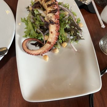 Gusto Grill - Octopus - Bars Near Me - East Brunswick, New Jersey Gusto Grill - Octopus - Bars Near Me - East Brunswick, New Jersey