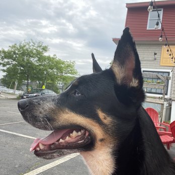 Ore Nell's Barbecue - American Near Me - Kittery, Maine