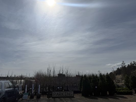 Mike Tree Farm MIKES TREE FARM AND NURSERY - Updated July 2026 - 150 NE Xenolith St ...