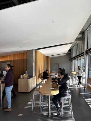 Blue Bottle Coffee by null