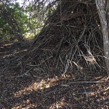 Batiquitos Lagoon Foundation - Wood rat's nest - Community Service/Non-Profit Near Me - Carlsbad, California