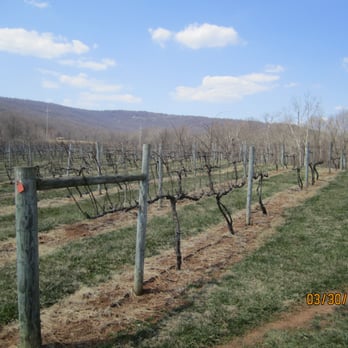Rappahannock Cellars - Vineyard - Wineries Near Me - Huntly, Virginia