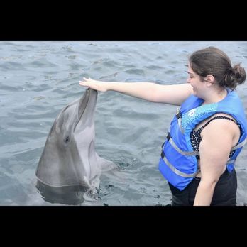 Gulf World - Dolphin encounter ! - Amusement Parks Near Me - Panama City Beach, Florida Gulf World - Dolphin encounter ! - Amusement Parks Near Me - Panama City Beach, Florida