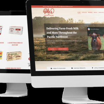 Puget Tech - Web Design Near Me - Camano Island, Washington
