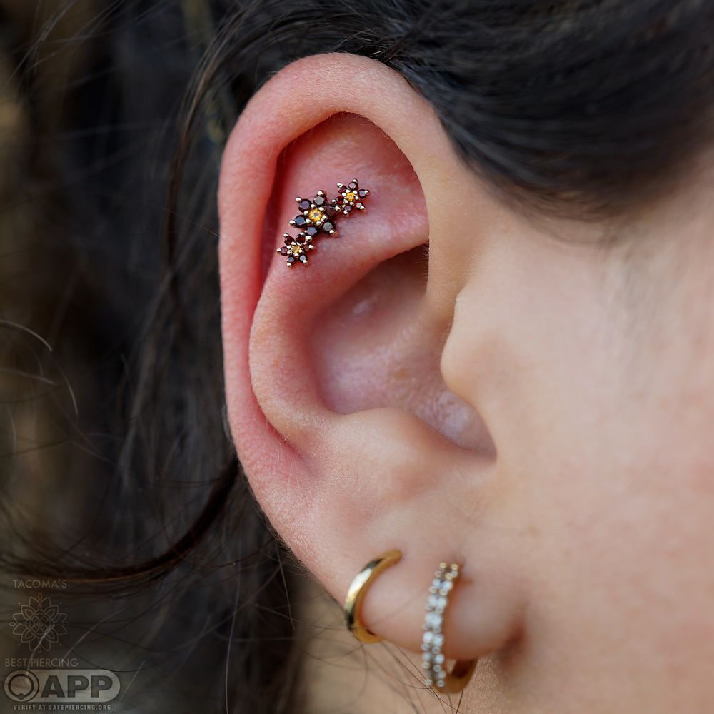 BEST PIERCING Updated September 2024 380 Photos & 337 Reviews 1620 S Mildred St