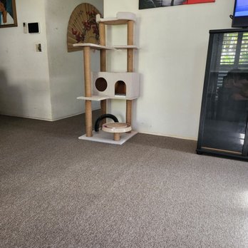 American Floor & Home - Carpeting Near Me - Honolulu, Hawaii American Floor & Home - Carpeting Near Me - Honolulu, Hawaii