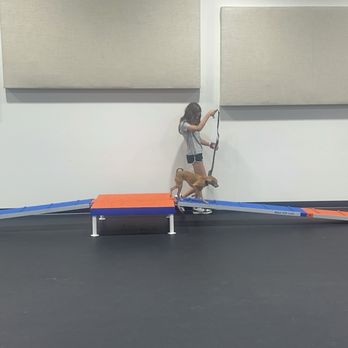 Zoom Room - Pet Training Near Me - Santa Clara, California Zoom Room - Pet Training Near Me - Santa Clara, California