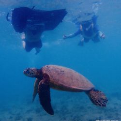 Reef Guides - You don't have to be a professional to join this tour.