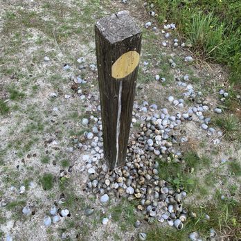 Dyer Park - Look at all those shells! - Parks Near Me - West Palm Beach, Florida Dyer Park - Look at all those shells! - Parks Near Me - West Palm Beach, Florida