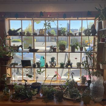 Crater Cafe - Interior - Cafes Near Me - Central Point, Oregon