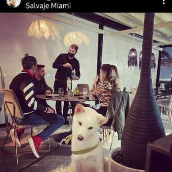 Salvaje - Japanese Near Me - Miami, Florida Salvaje - Japanese Near Me - Miami, Florida