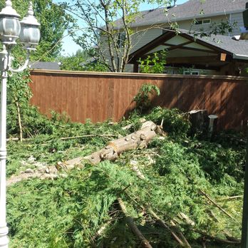 Green's Tree Service - In process. Will post follow up pic. - Tree Services Near Me